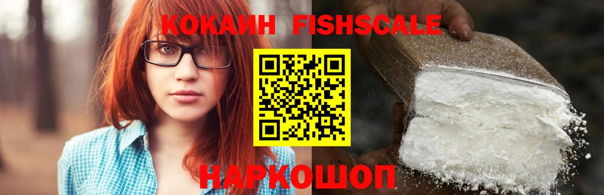 COCAIN Fish Scale  цены наркотик  Кокаин 97%  Прохладный  Вход с VPN 
