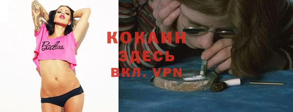 мет Пересвет