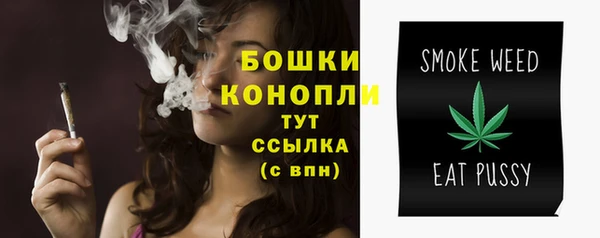 крисы Пестово