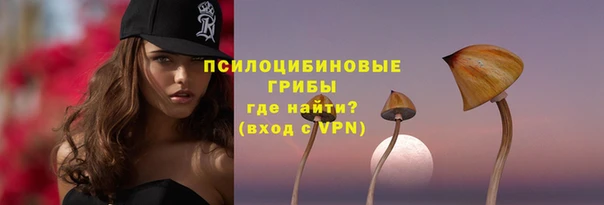 мет Пересвет