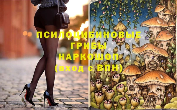 мет Пересвет