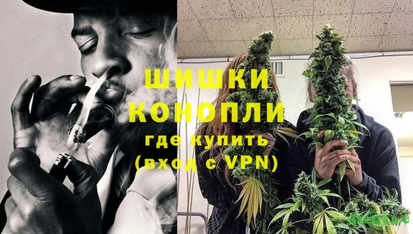 крисы Пестово