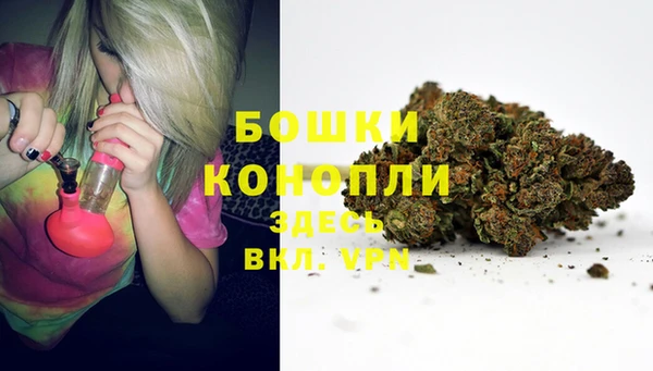 мет Пересвет