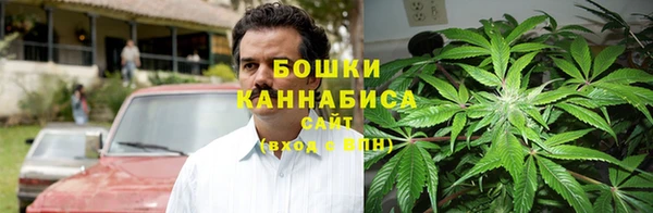 крисы Пестово