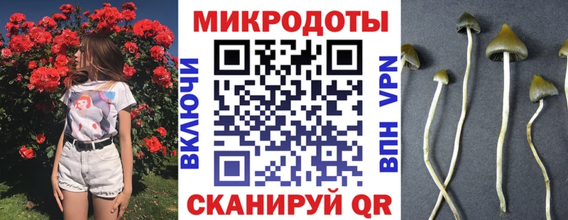 даркнет сайт  Прохладный  Галлюциногенные грибы Cubensis 