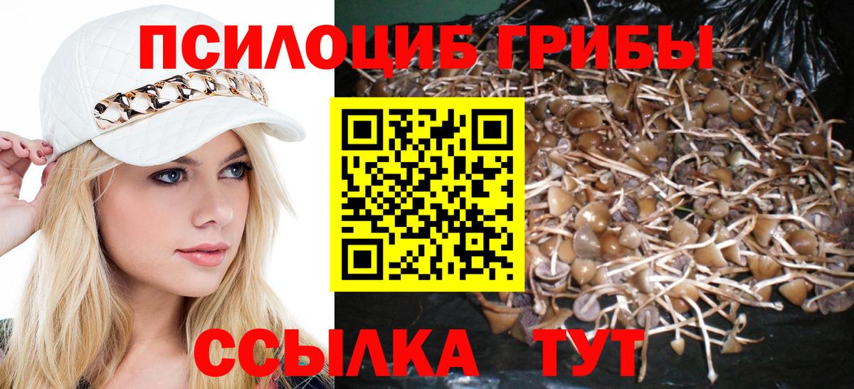 Галлюциногенные грибы мицелий Прохладный